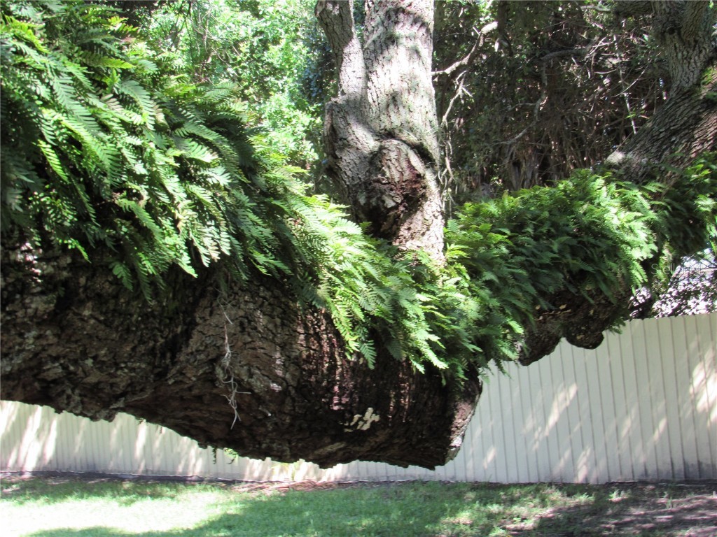 3001 58th Avenue S #904 Saint Petersburg FL 33712 TB8457634 image48