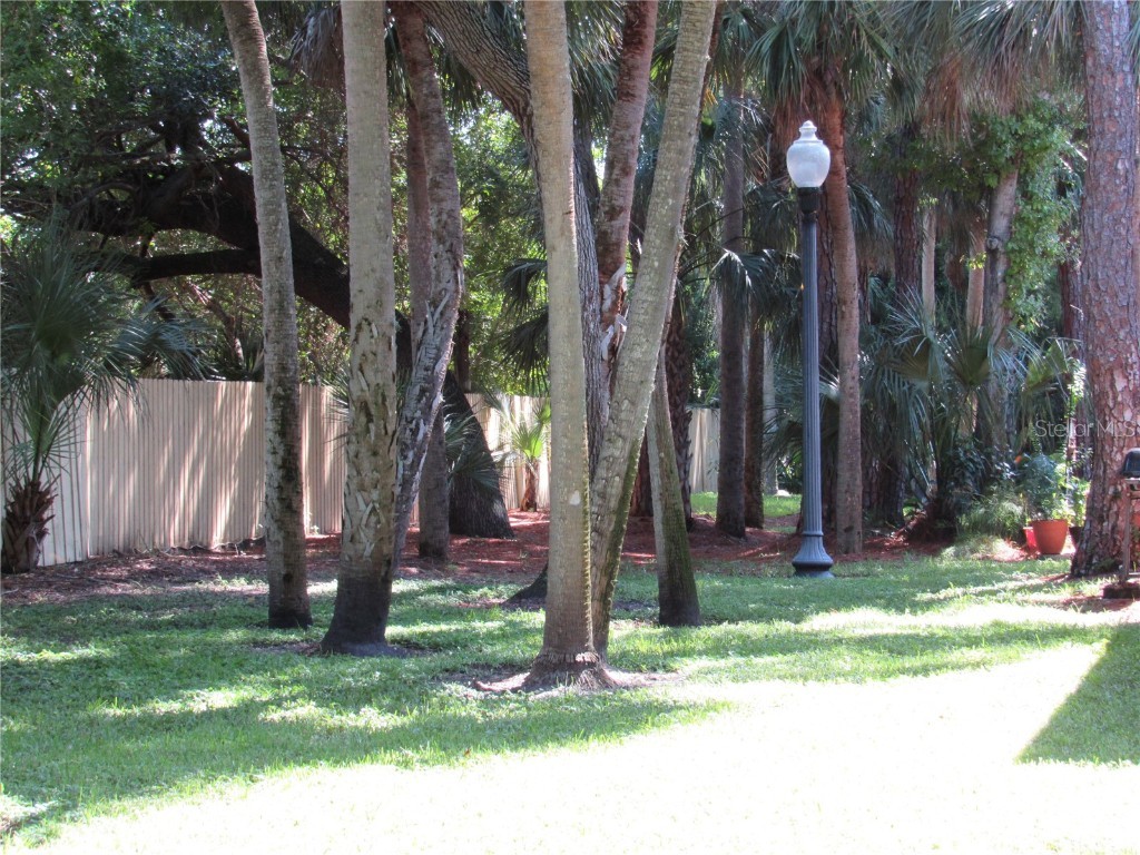 3001 58th Avenue S #904 Saint Petersburg FL 33712 TB8457634 image51