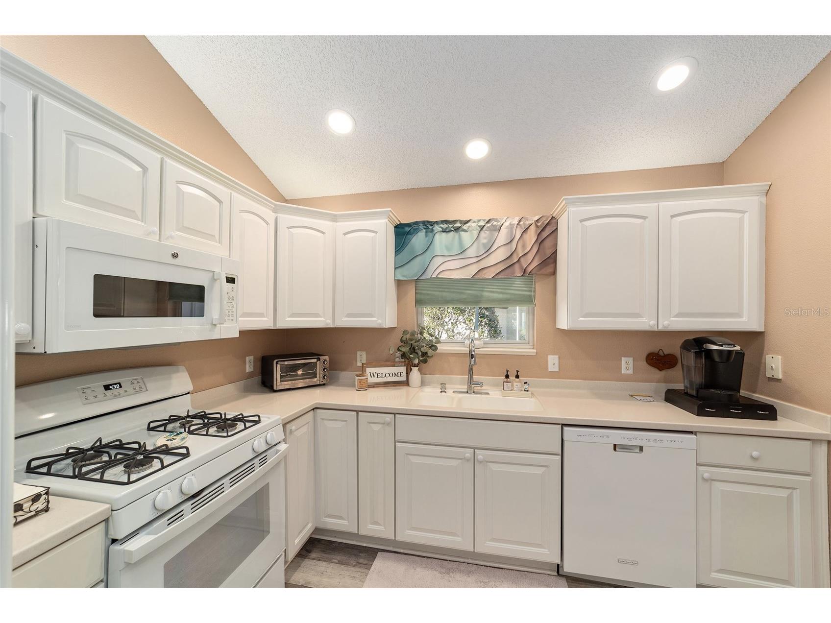 3001 Egerton Place The Villages FL 32162 OM717048 image17