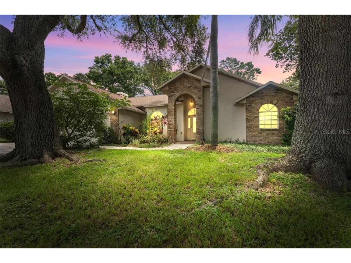 3001 Folklore Drive Valrico FL 33596 TB8381862 image1