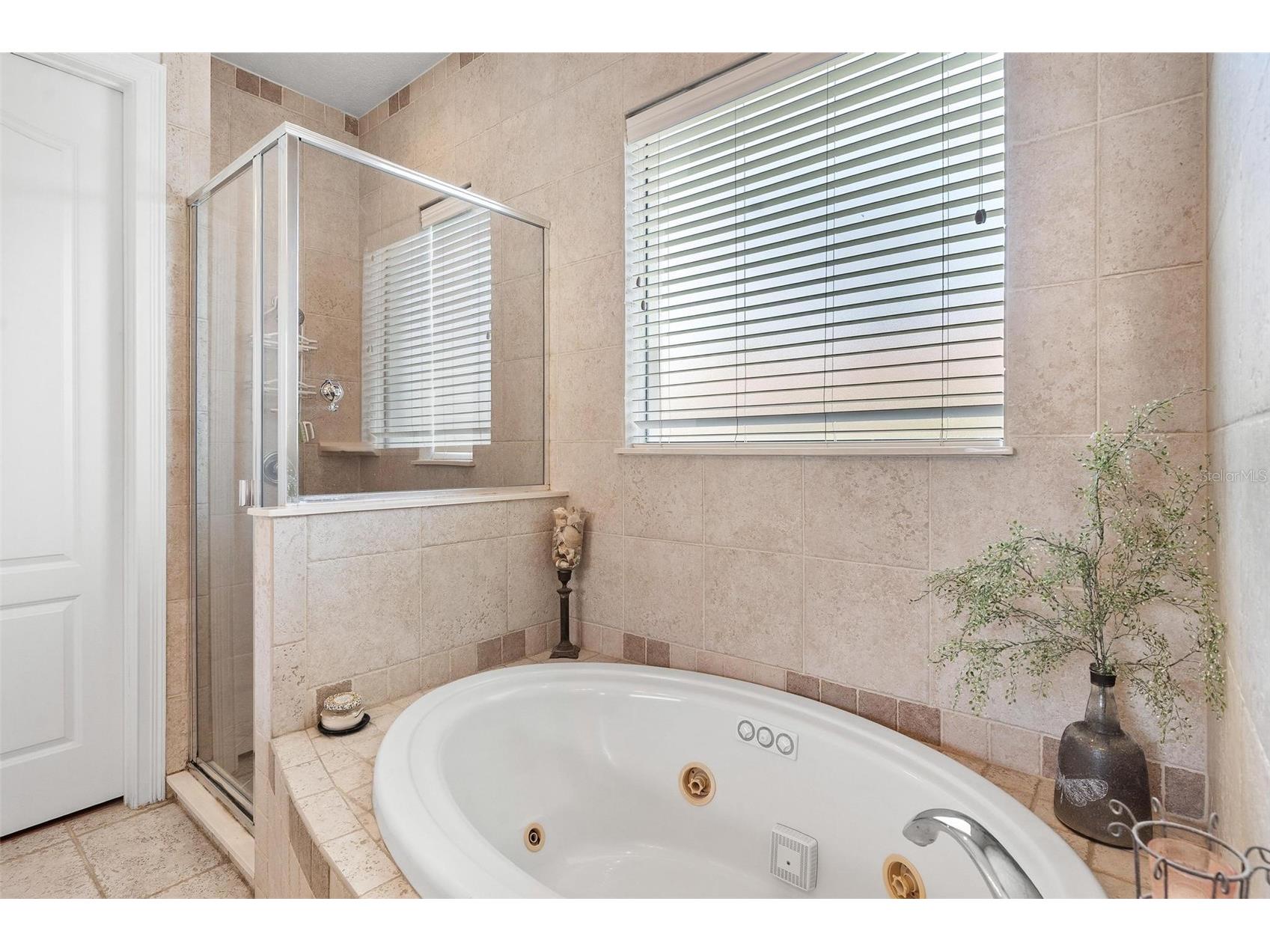 3001 Isola Bella Boulevard Mount Dora FL 32757 G5110322 image29