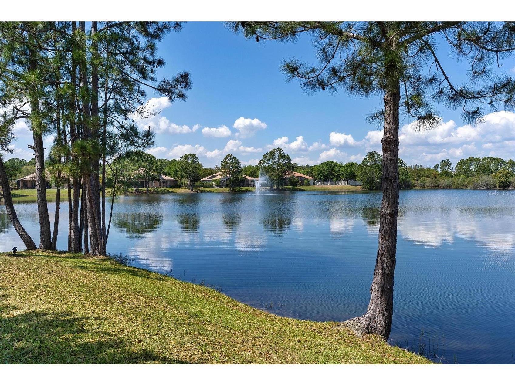 3001 Isola Bella Boulevard Mount Dora FL 32757 G5110322 image51