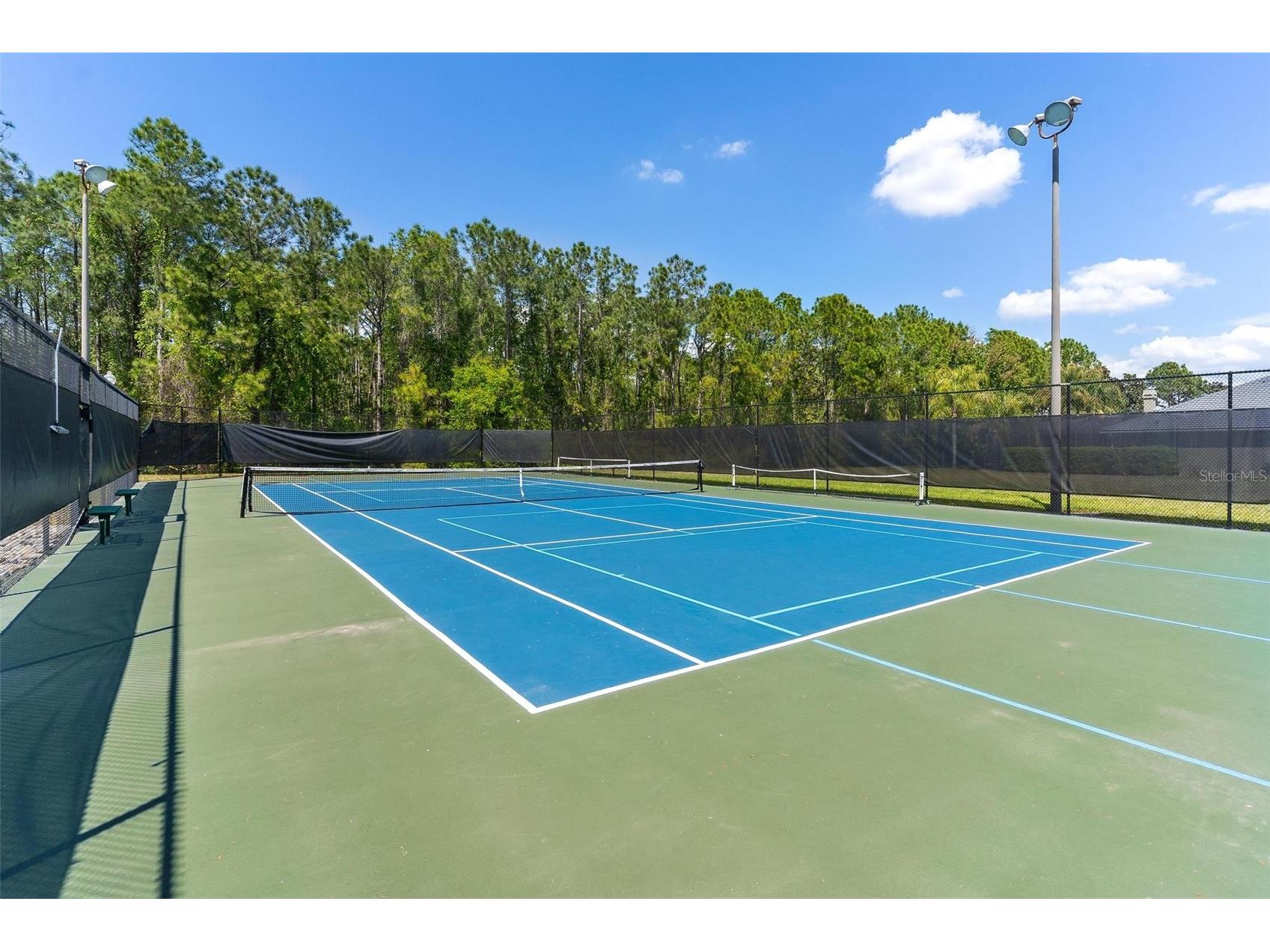 3001 Isola Bella Boulevard Mount Dora FL 32757 G5110322 image61