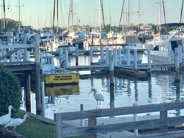 3001 King Tarpon Drive Punta Gorda FL 33955 C7431637 image34