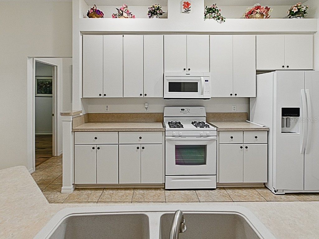 3001 Lake Huron Lane Tavares FL 32778 - LITTLE LAKE HARRIS G5096992 image20