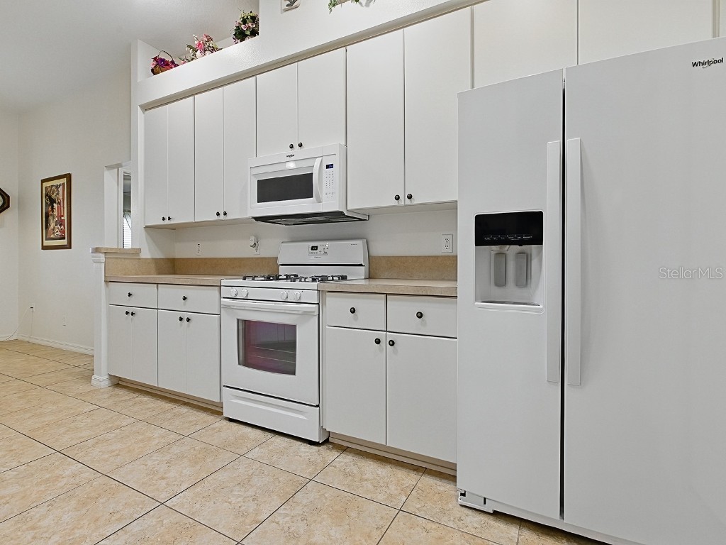 3001 Lake Huron Lane Tavares FL 32778 - LITTLE LAKE HARRIS G5096992 image21