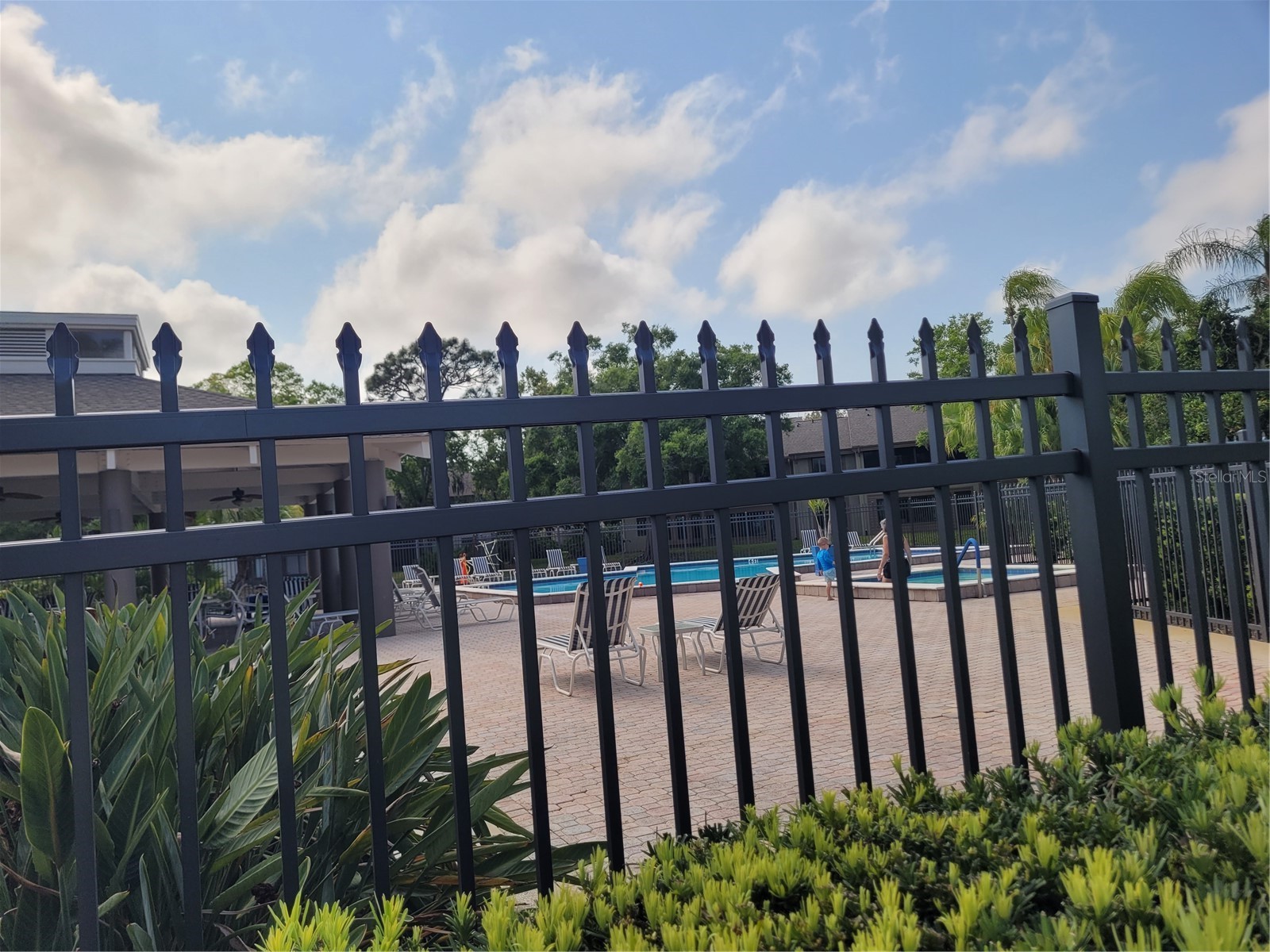 3001 Landmark Boulevard E #106 Palm Harbor FL 34684 TB8489612 image20