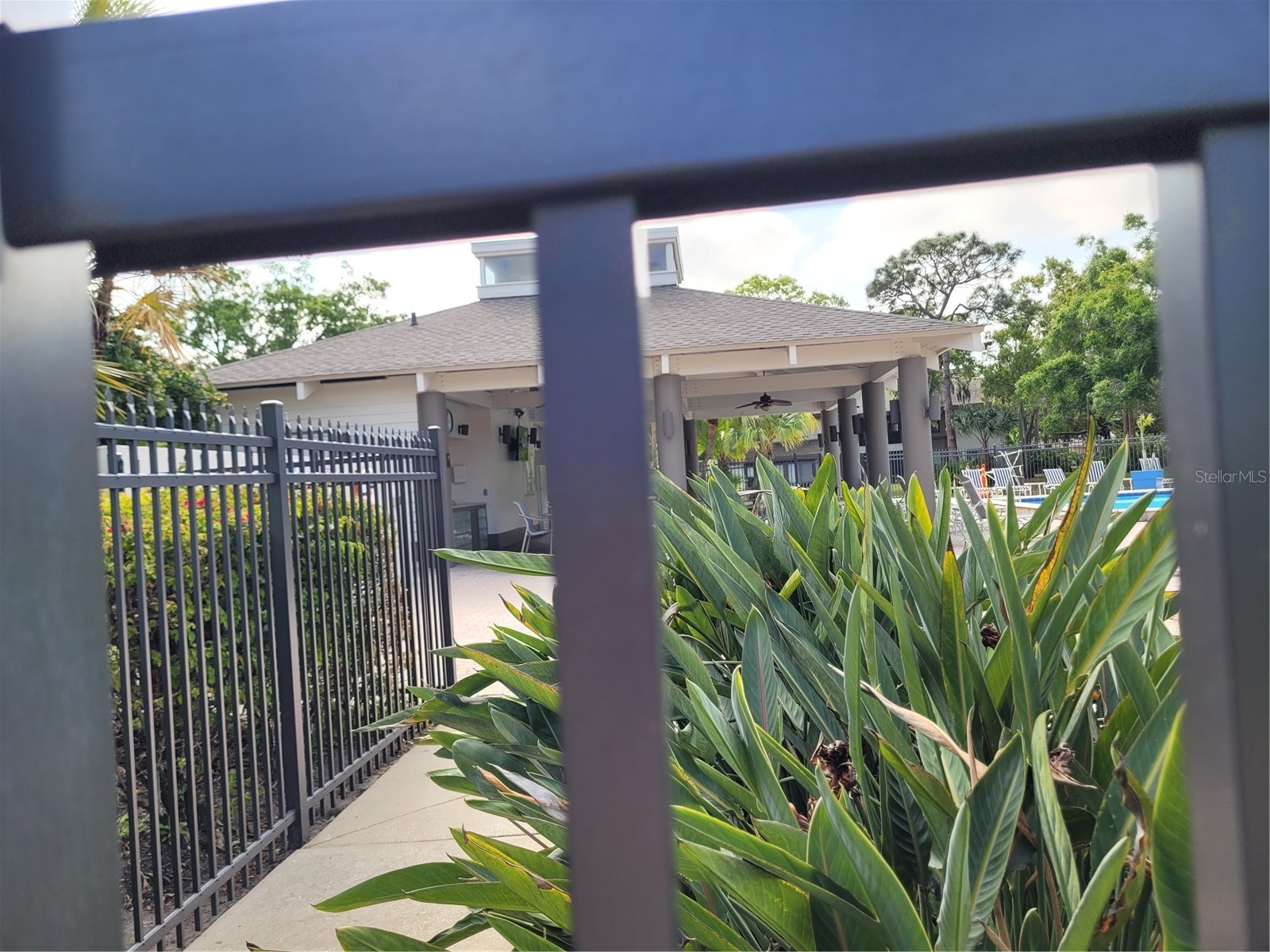 3001 Landmark Boulevard E #106 Palm Harbor FL 34684 TB8489612 image21