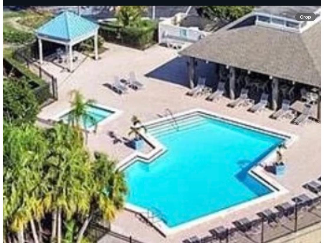 3001 Landmark Boulevard E #106 Palm Harbor FL 34684 TB8489612 image22