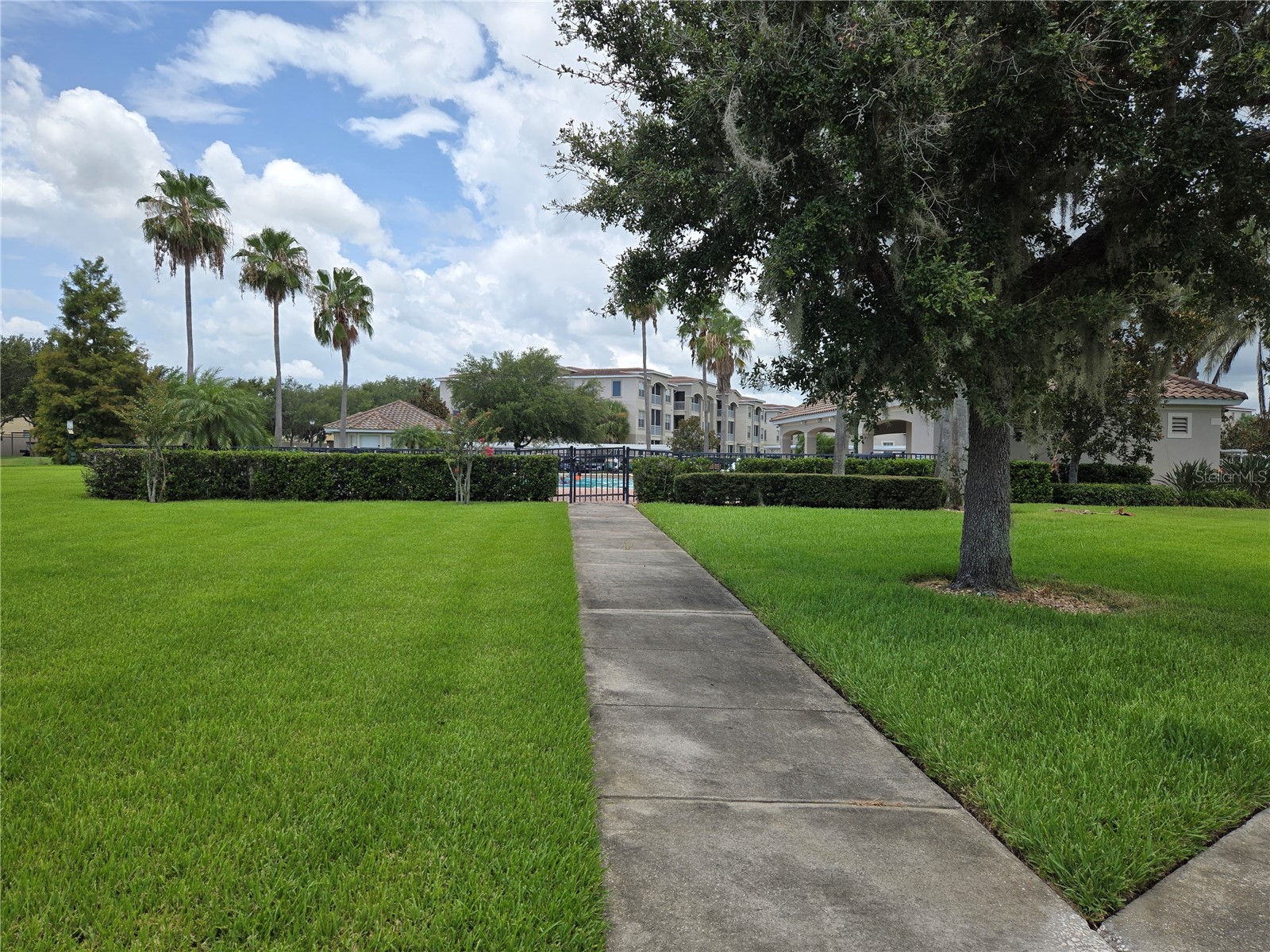 3001 Laurel Run Lane #203 Kissimmee FL 34741 O6396451 image35