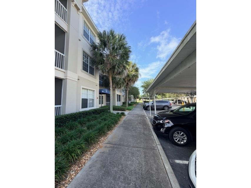 3001 Laurel Run Lane #301 Kissimmee FL 34741 S5142621 image27