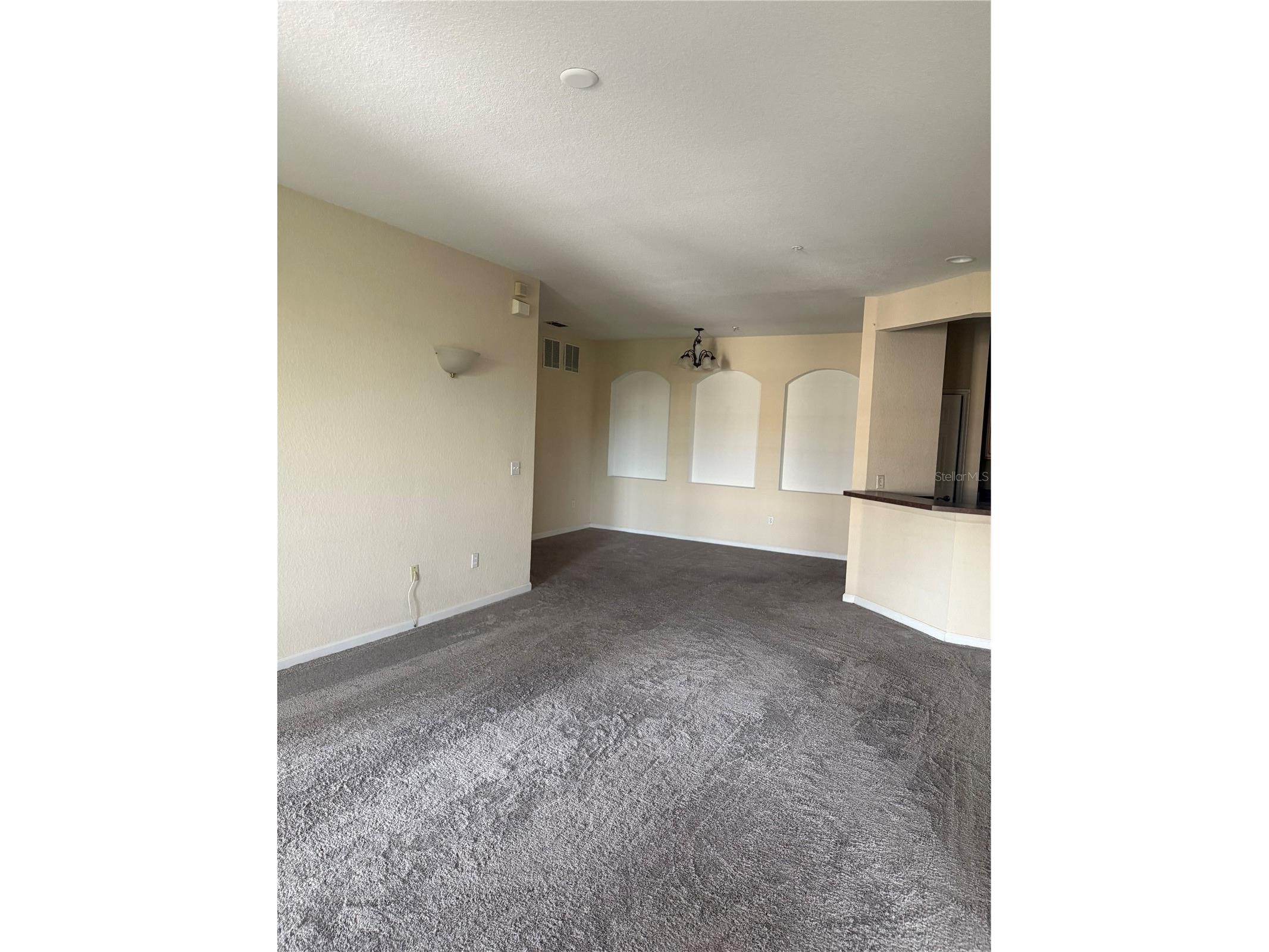 3001 Laurel Run Lane #307 Kissimmee FL 34741 S5150606 image6