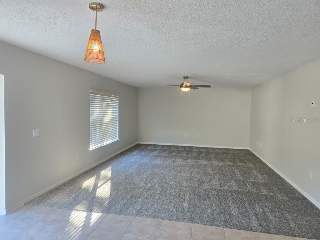 3001 Mandolin Drive Kissimmee FL 34744 S5139386 image21