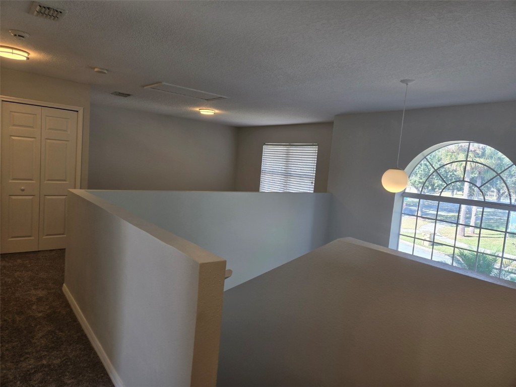 3001 Mandolin Drive Kissimmee FL 34744 S5139386 image33