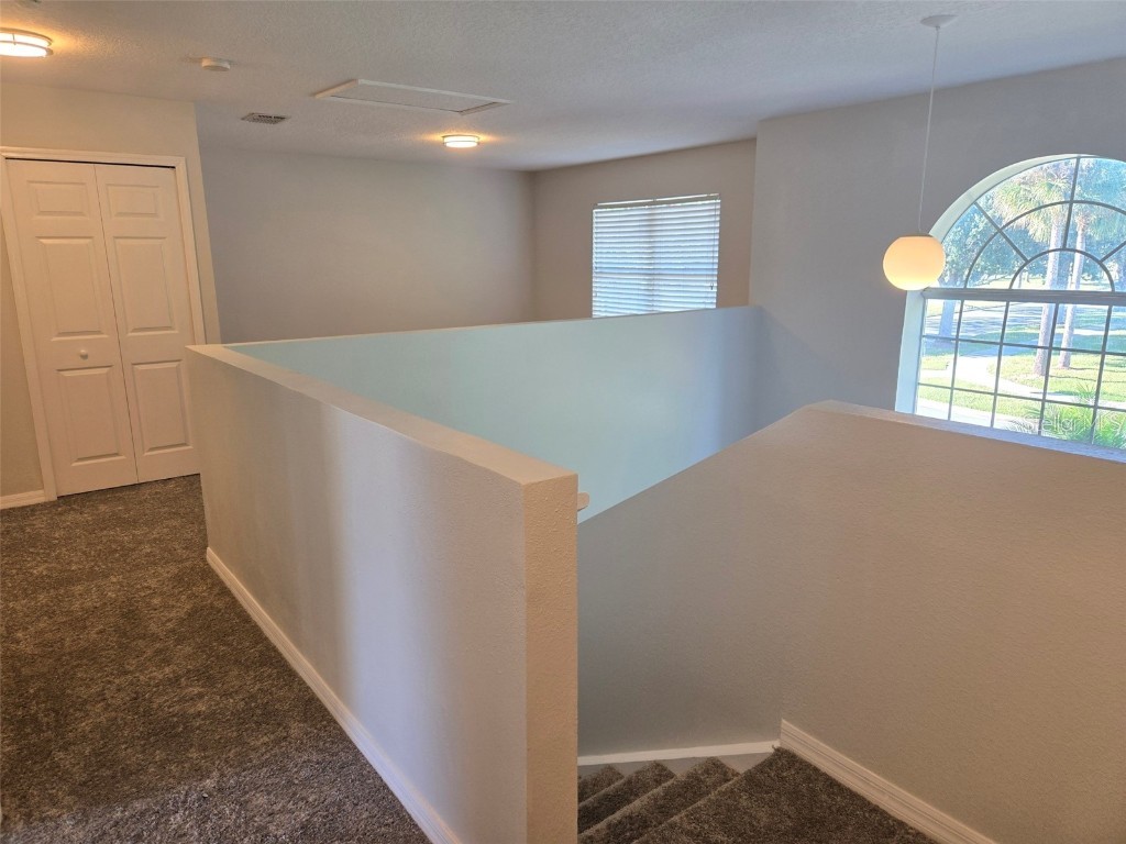 3001 Mandolin Drive Kissimmee FL 34744 S5139386 image41