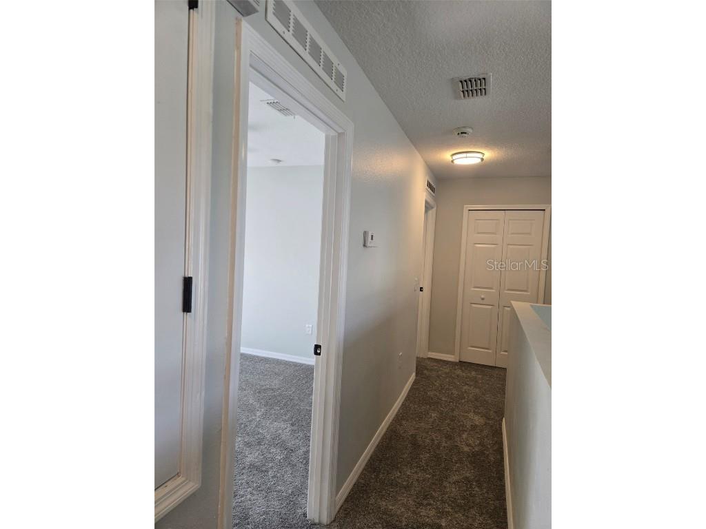 3001 Mandolin Drive Kissimmee FL 34744 S5139386 image42