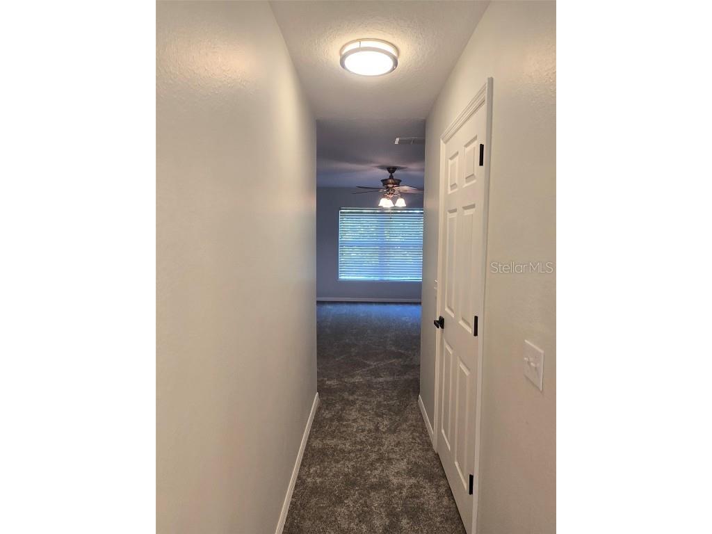 3001 Mandolin Drive Kissimmee FL 34744 S5139386 image50