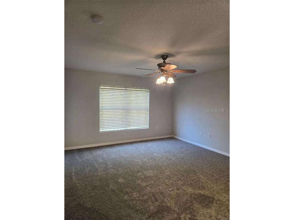 3001 Mandolin Drive Kissimmee FL 34744 S5139386 image51