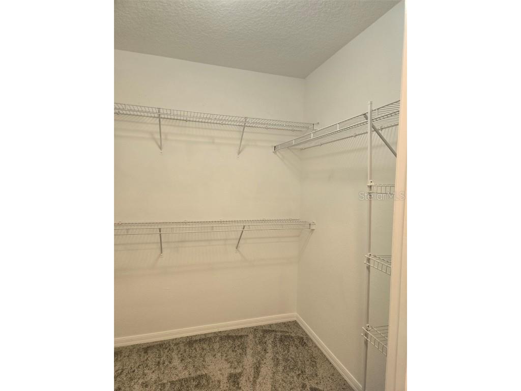 3001 Mandolin Drive Kissimmee FL 34744 S5139386 image52