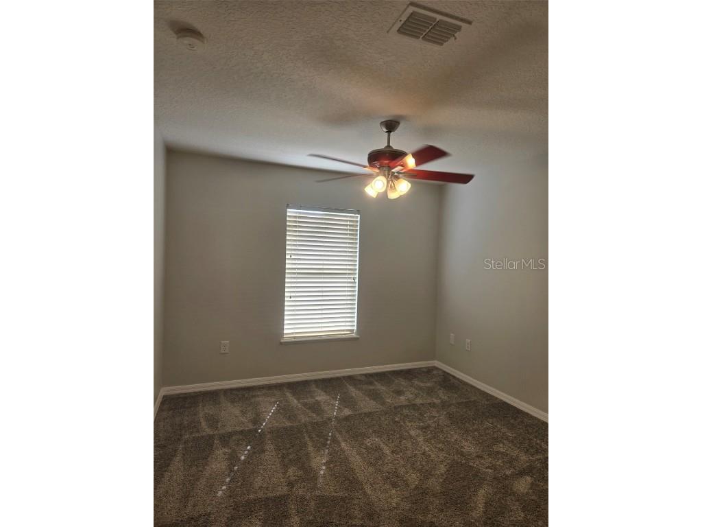 3001 Mandolin Drive Kissimmee FL 34744 S5139386 image54