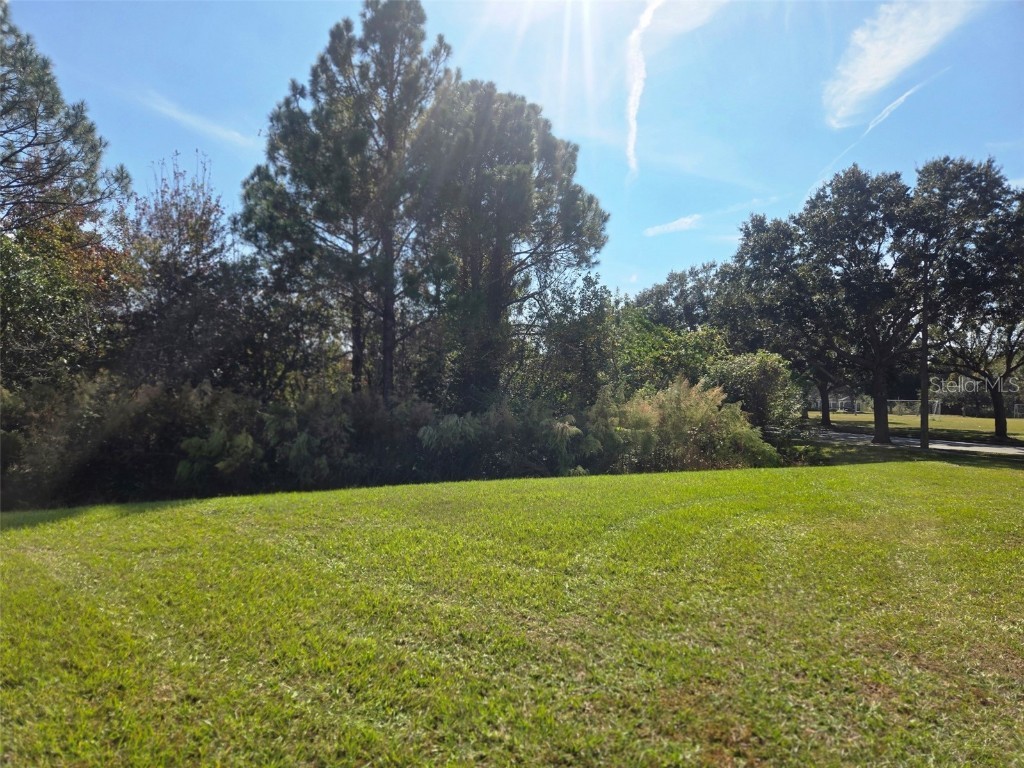 3001 Mandolin Drive Kissimmee FL 34744 S5139386 image66