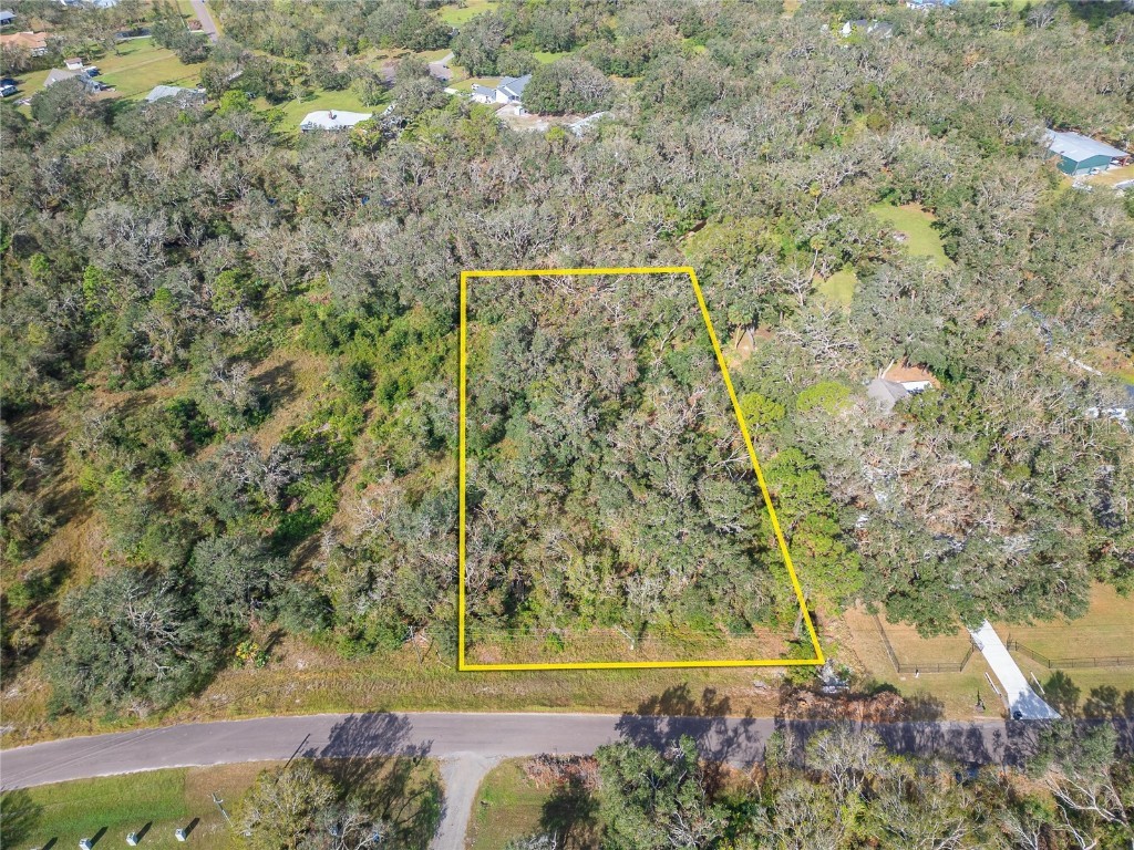 3001 Ponderosa Trail Wimauma FL 33598 TB8318019 image1