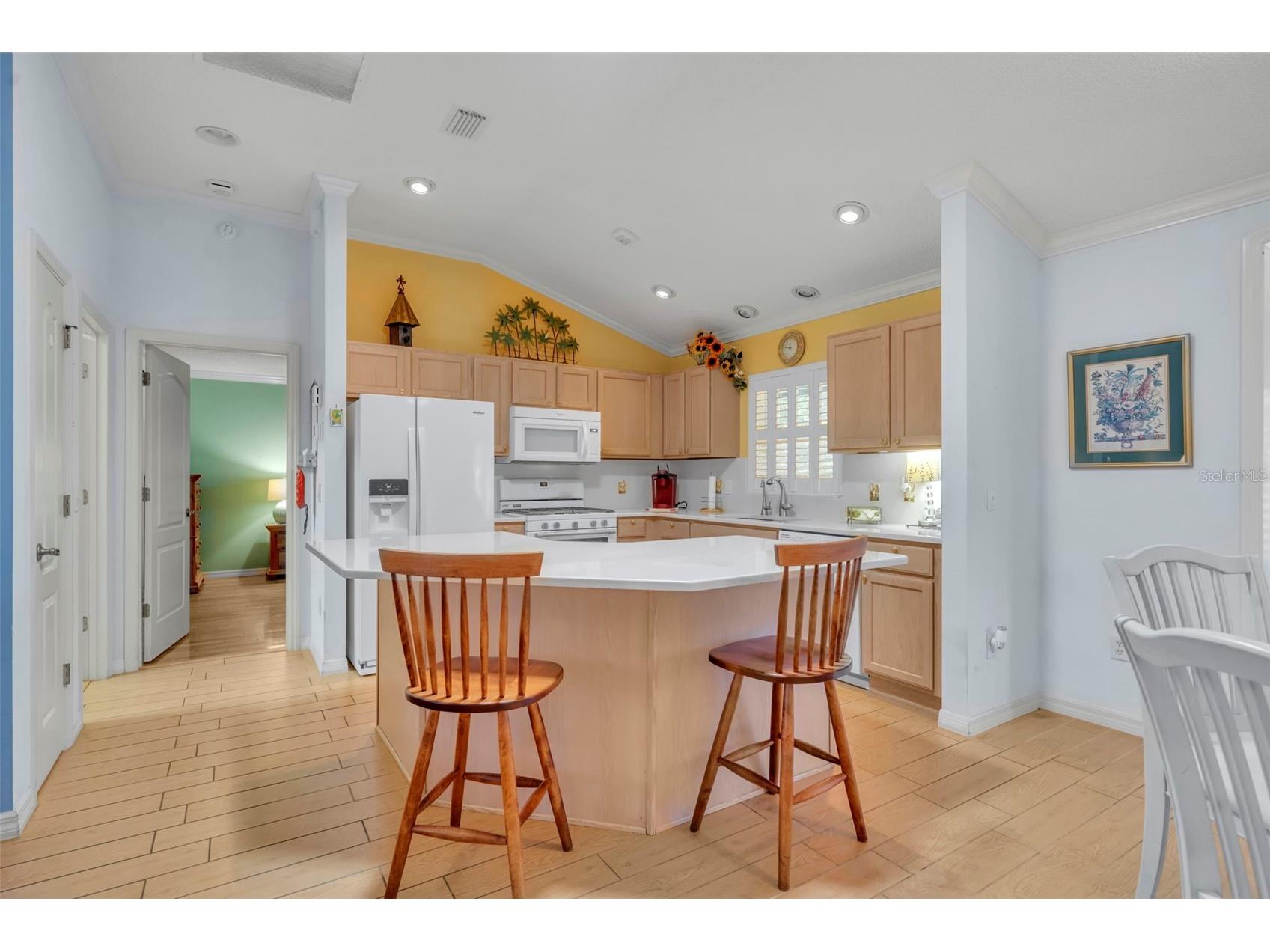 3001 Sandy Lane The Villages FL 32162 G5109661 image11