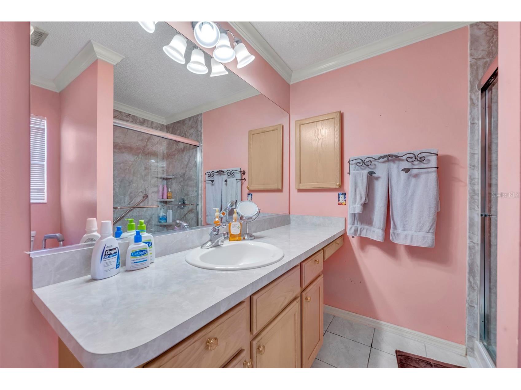 3001 Sandy Lane The Villages FL 32162 G5109661 image23