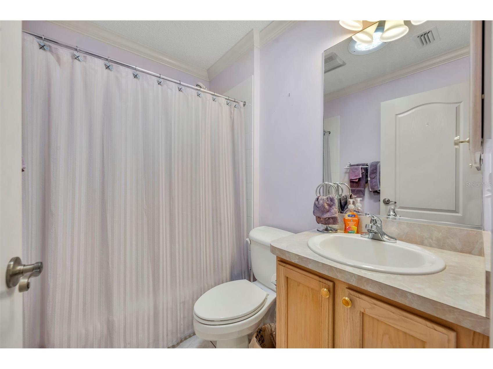 3001 Sandy Lane The Villages FL 32162 G5109661 image26