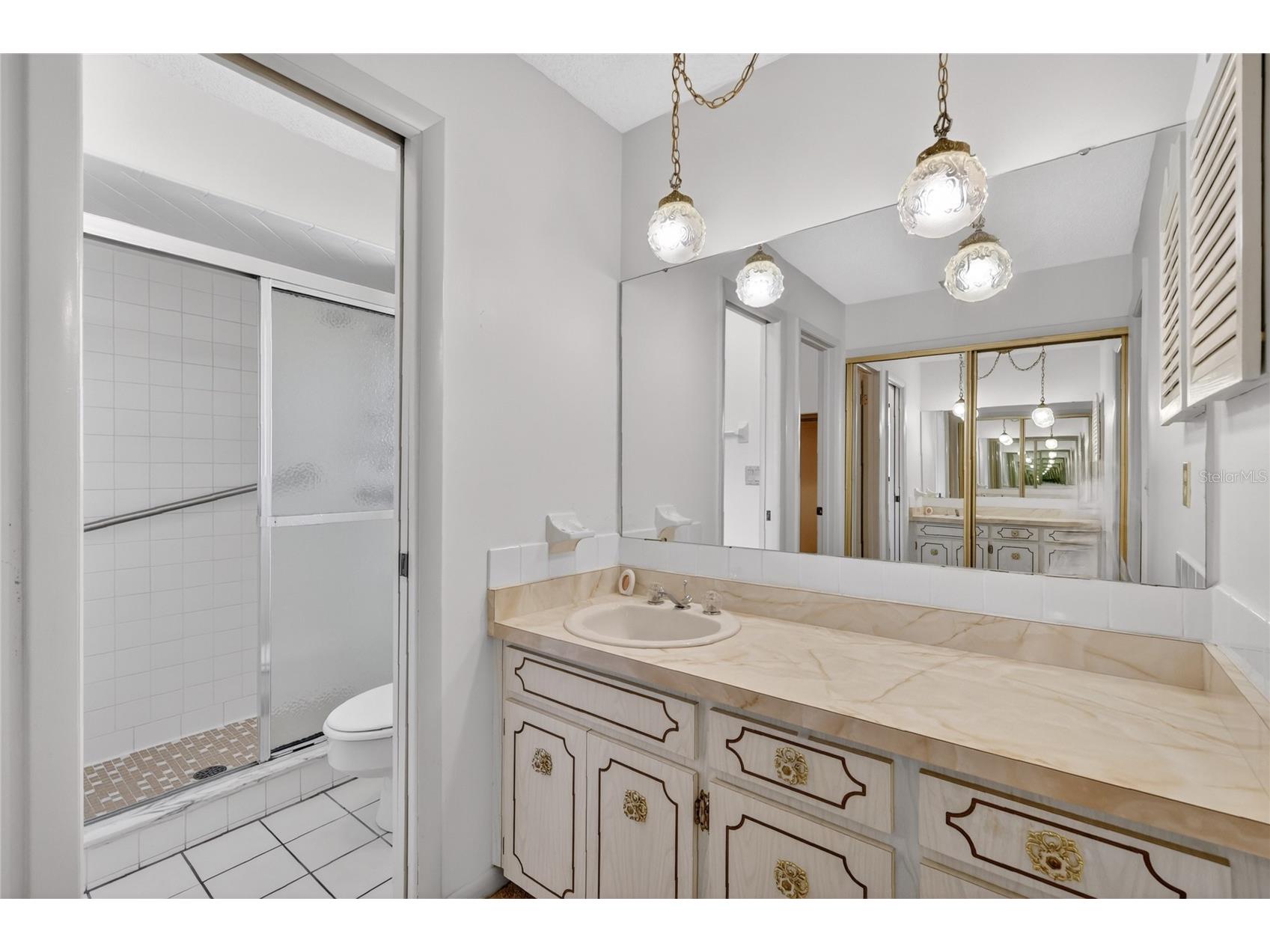 3001 Stratford Lane Mount Dora FL 32757 G5112775 image19
