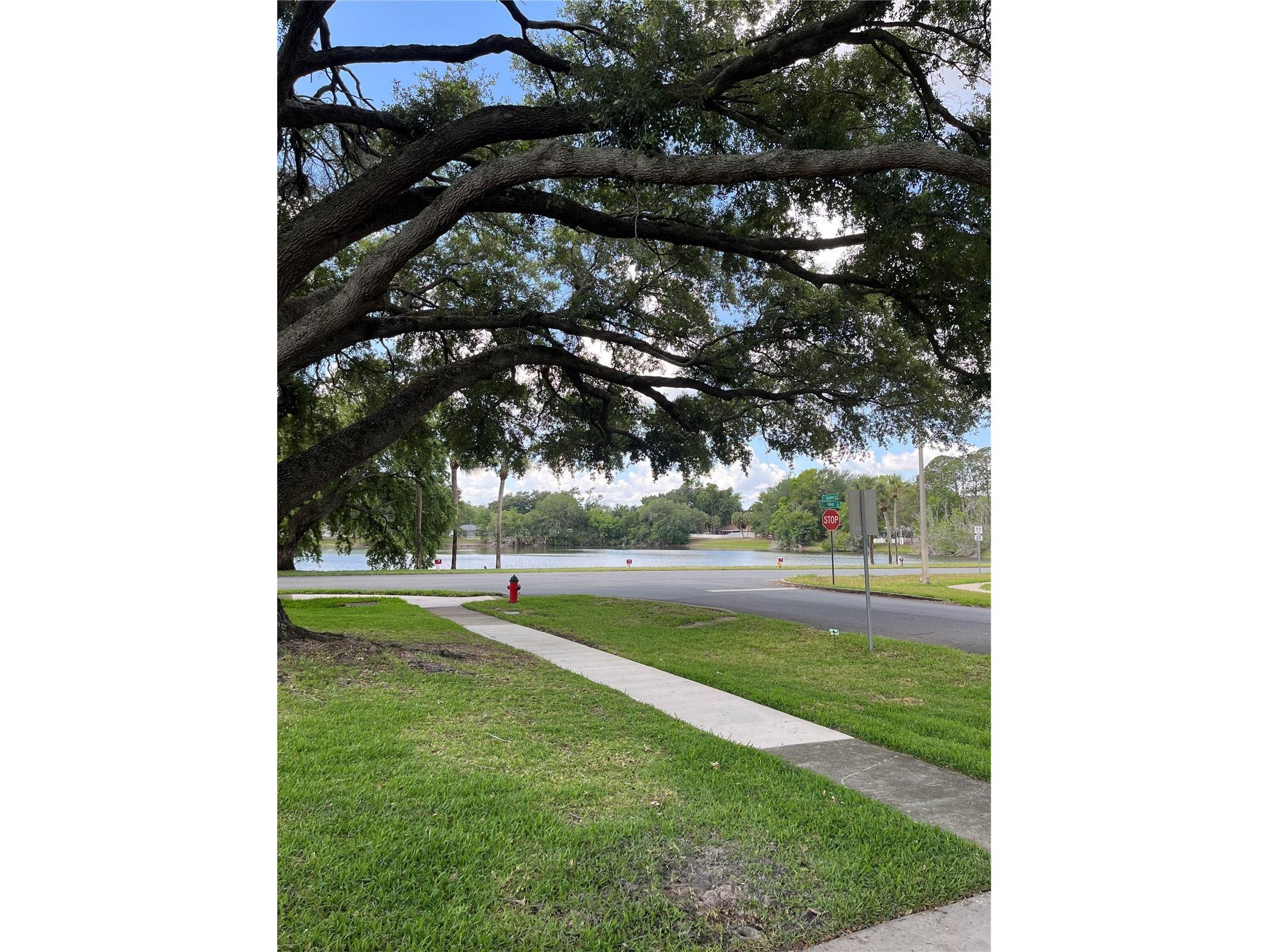 3001 Stratford Lane Mount Dora FL 32757 G5112775 image30