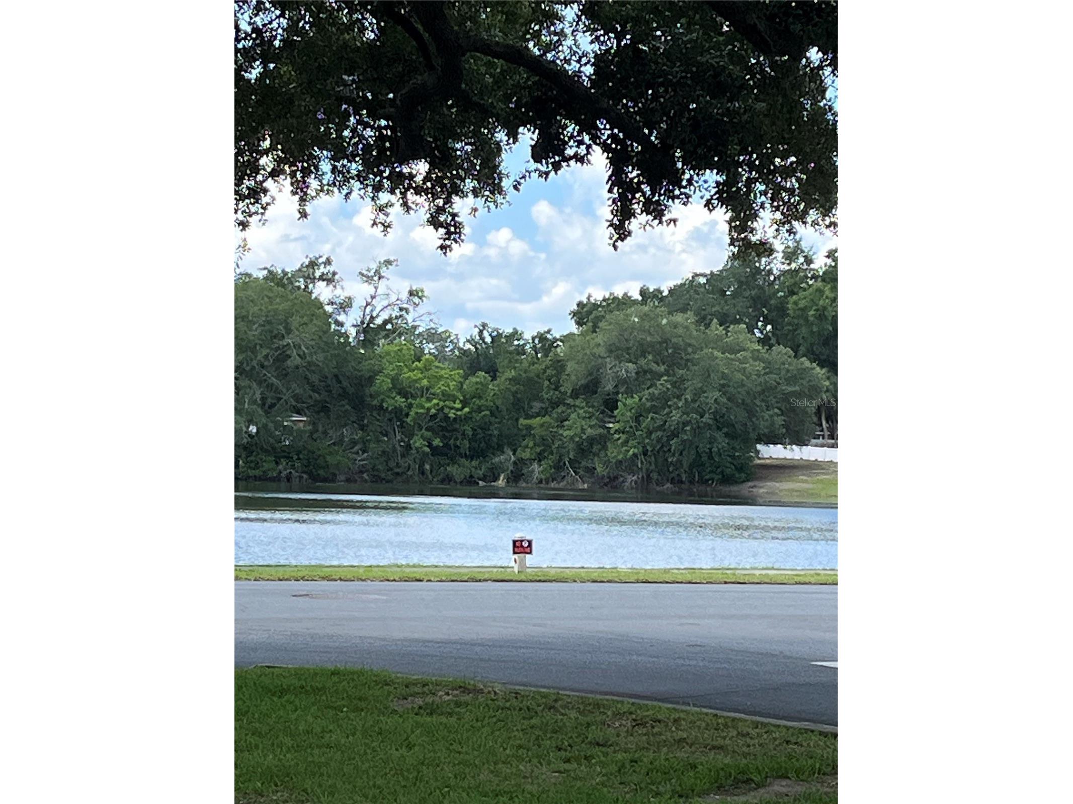 3001 Stratford Lane Mount Dora FL 32757 G5112775 image31