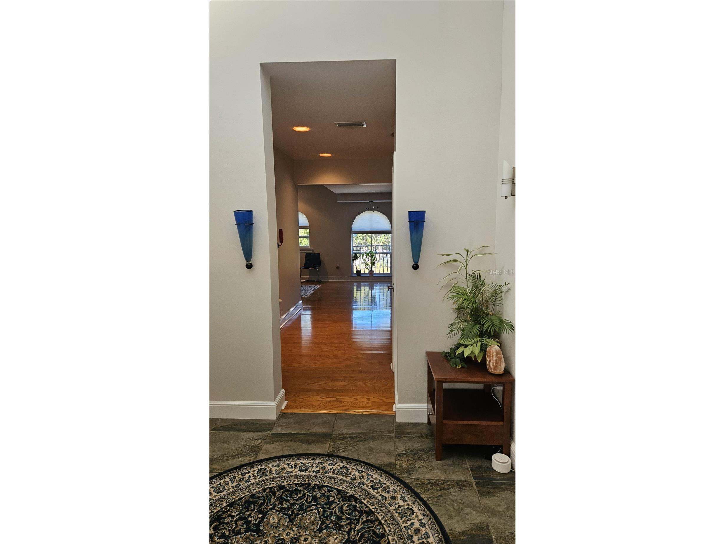 3001 W Azeele Street Tampa FL 33609 TB8468482 image14