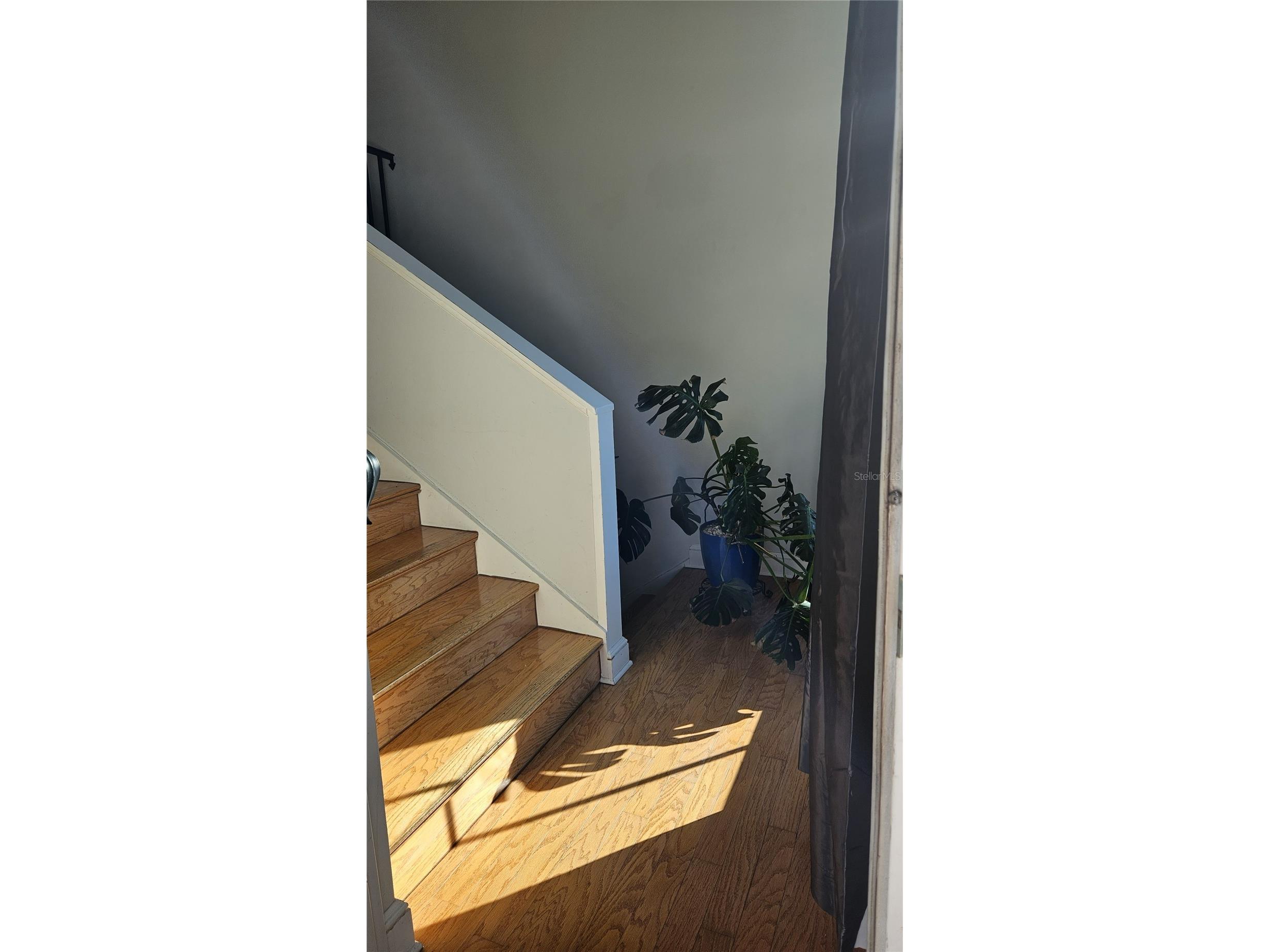 3001 W Azeele Street Tampa FL 33609 TB8468482 image2