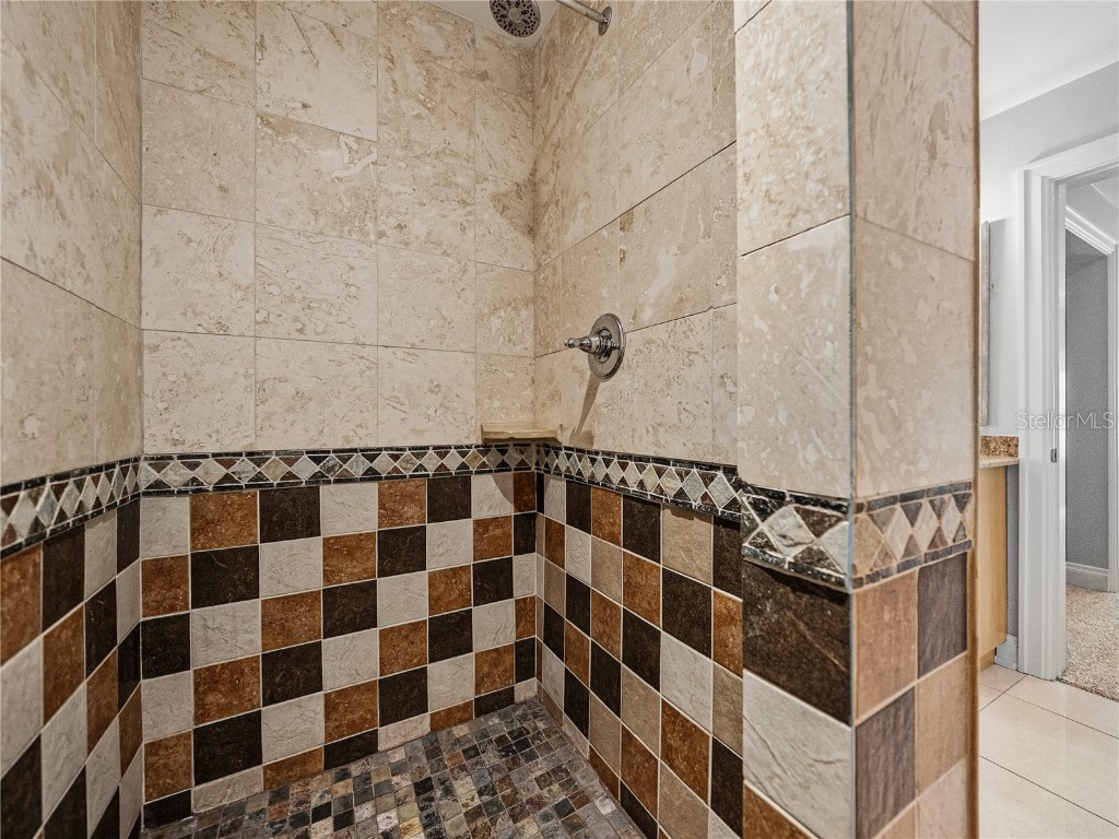 3001 W San Rafael Street Tampa FL 33629 TB8438837 image76