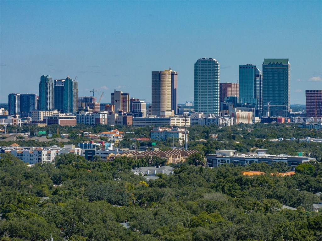 3001 W San Rafael Street Tampa FL 33629 TB8438837 image88