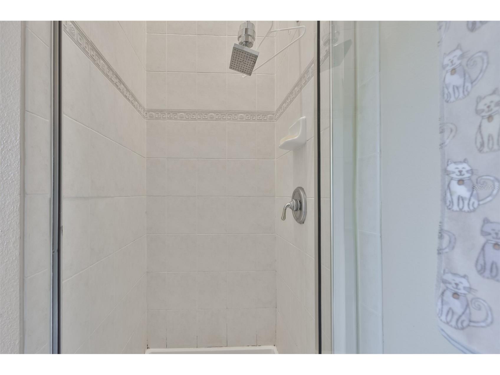 3002 Bayshore Pointe Drive Tampa FL 33611 TB8515697 image24
