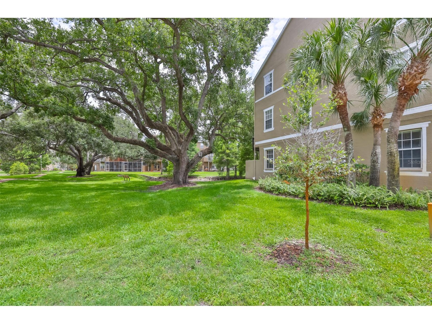 3002 Bayshore Pointe Drive Tampa FL 33611 TB8515697 image37