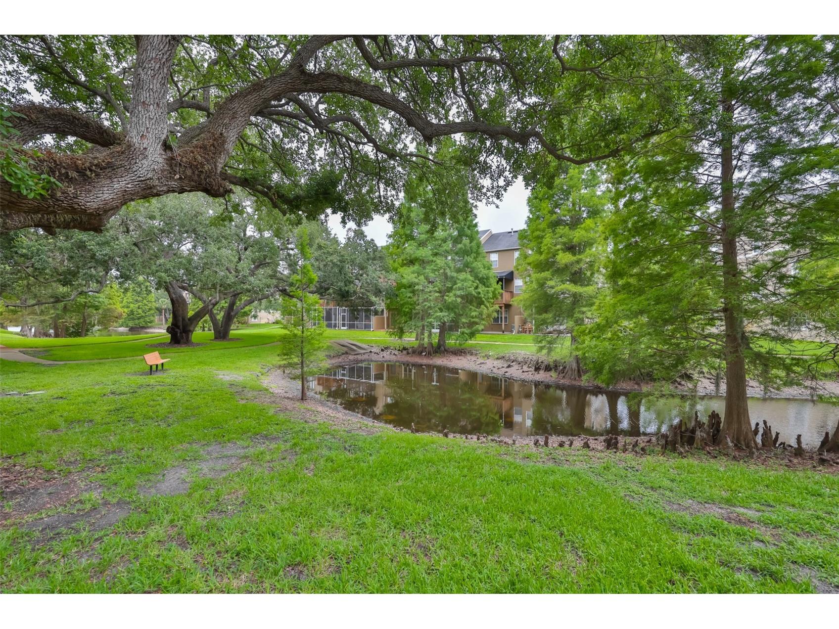 3002 Bayshore Pointe Drive Tampa FL 33611 TB8515697 image39