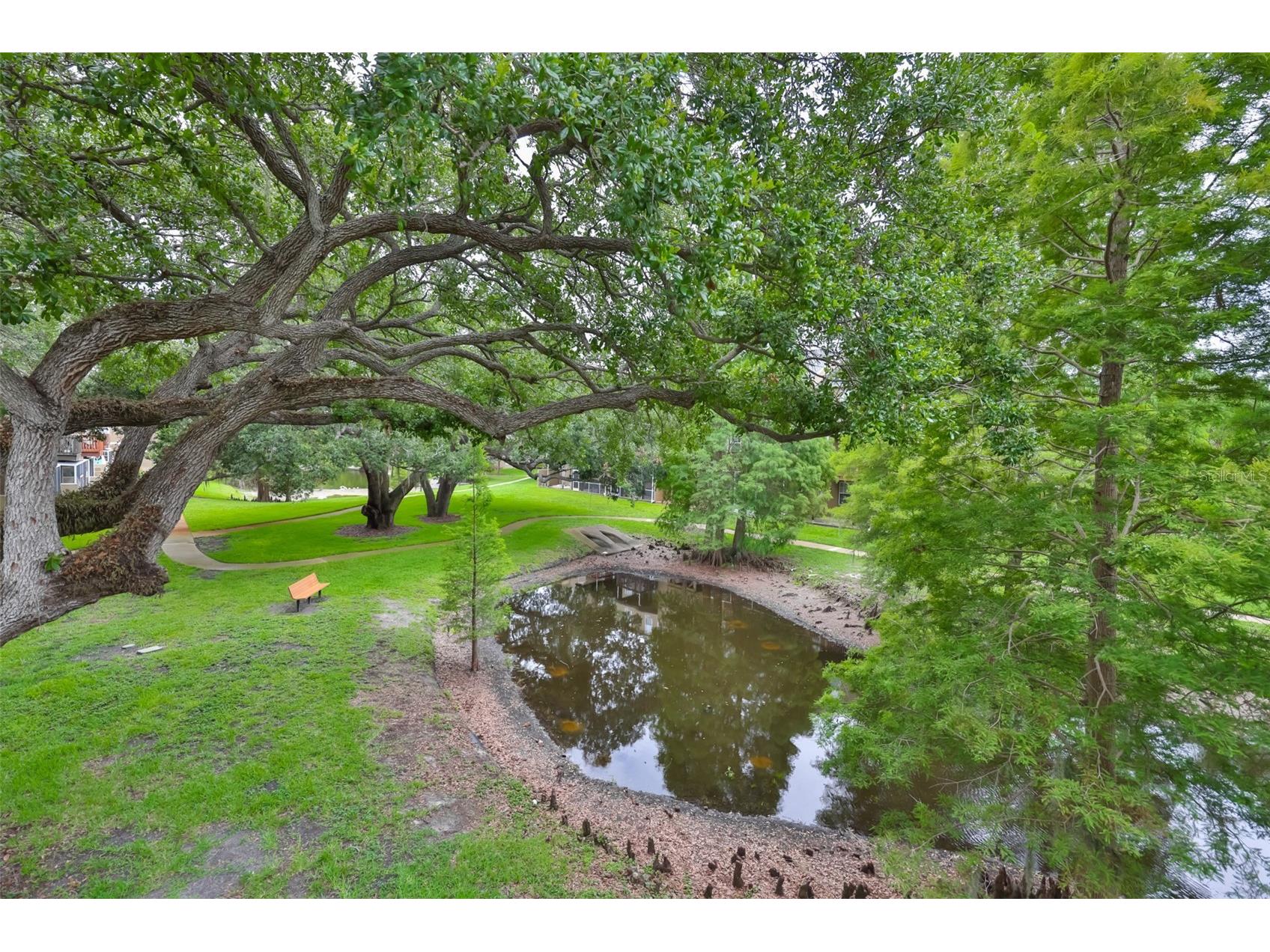 3002 Bayshore Pointe Drive Tampa FL 33611 TB8515697 image40