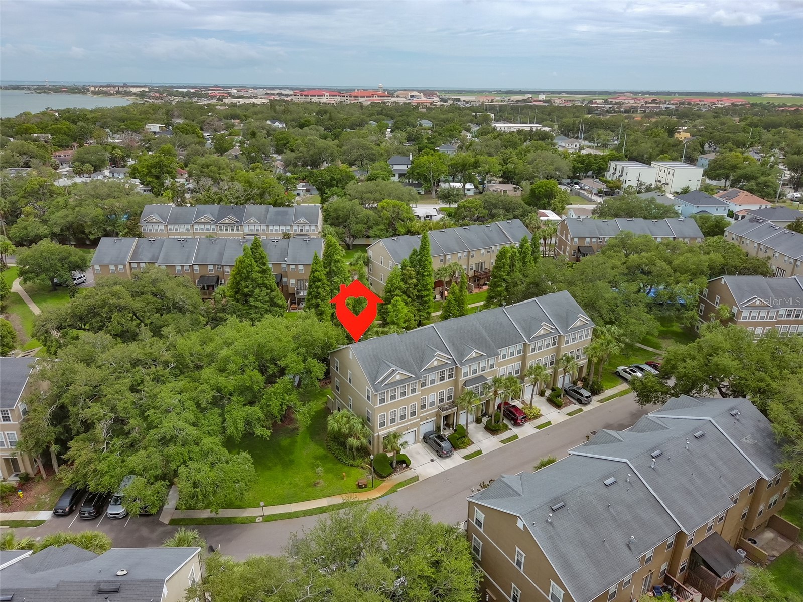 3002 Bayshore Pointe Drive Tampa FL 33611 TB8515697 image41