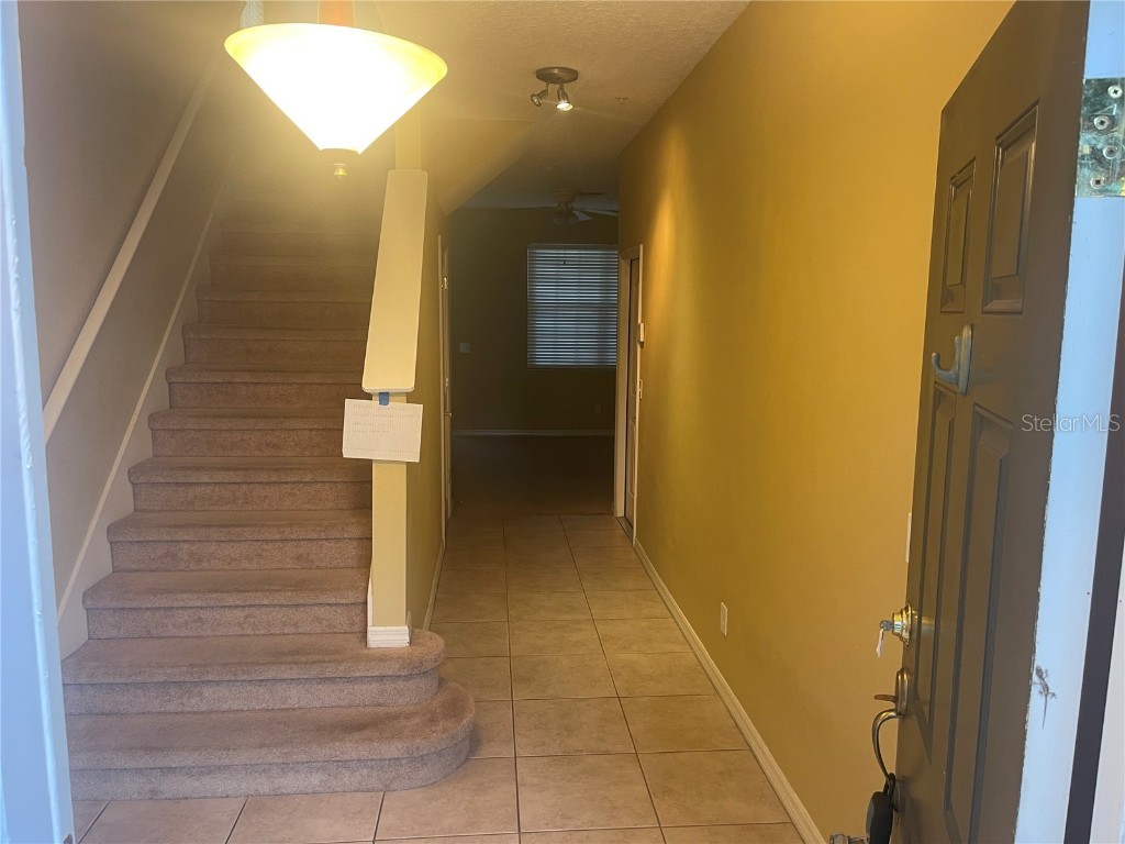 3002 Pointeview Drive Tampa FL 33611 TB8438078 image13