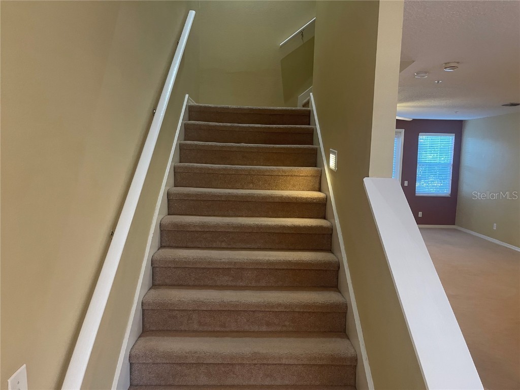 3002 Pointeview Drive Tampa FL 33611 TB8438078 image8