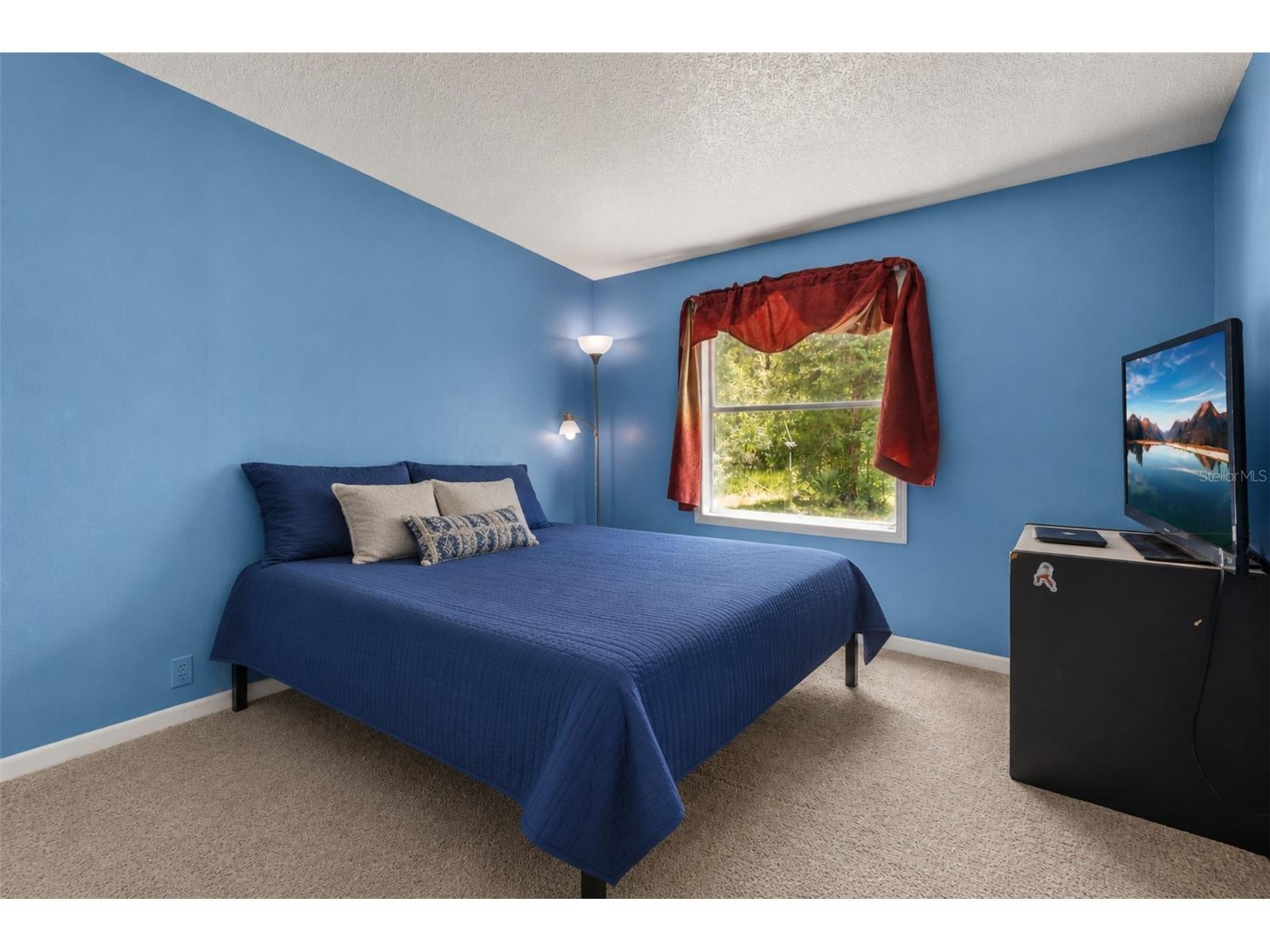 3002 SW 127th Avenue Webster FL 33597 - LITTLE WITCHOO RIVER O6417848 image11