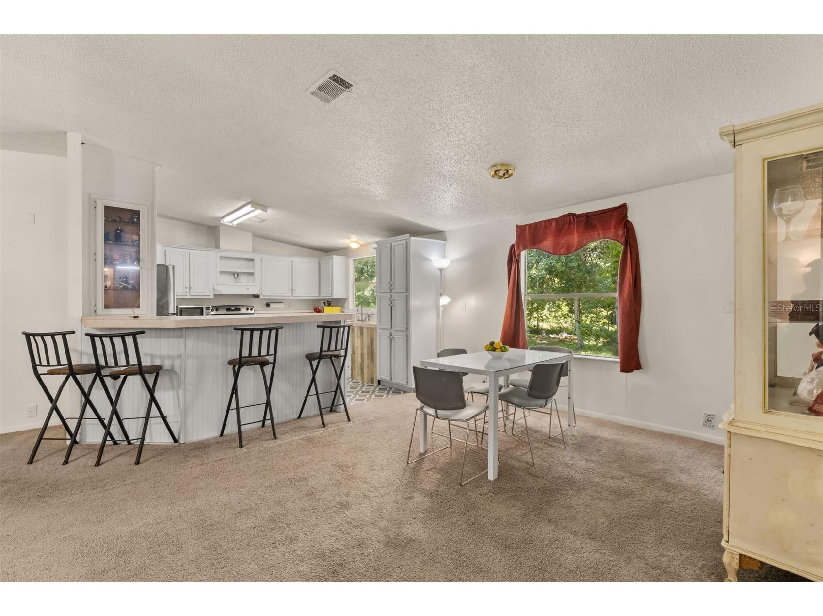3002 SW 127th Avenue Webster FL 33597 - LITTLE WITCHOO RIVER O6417848 image4