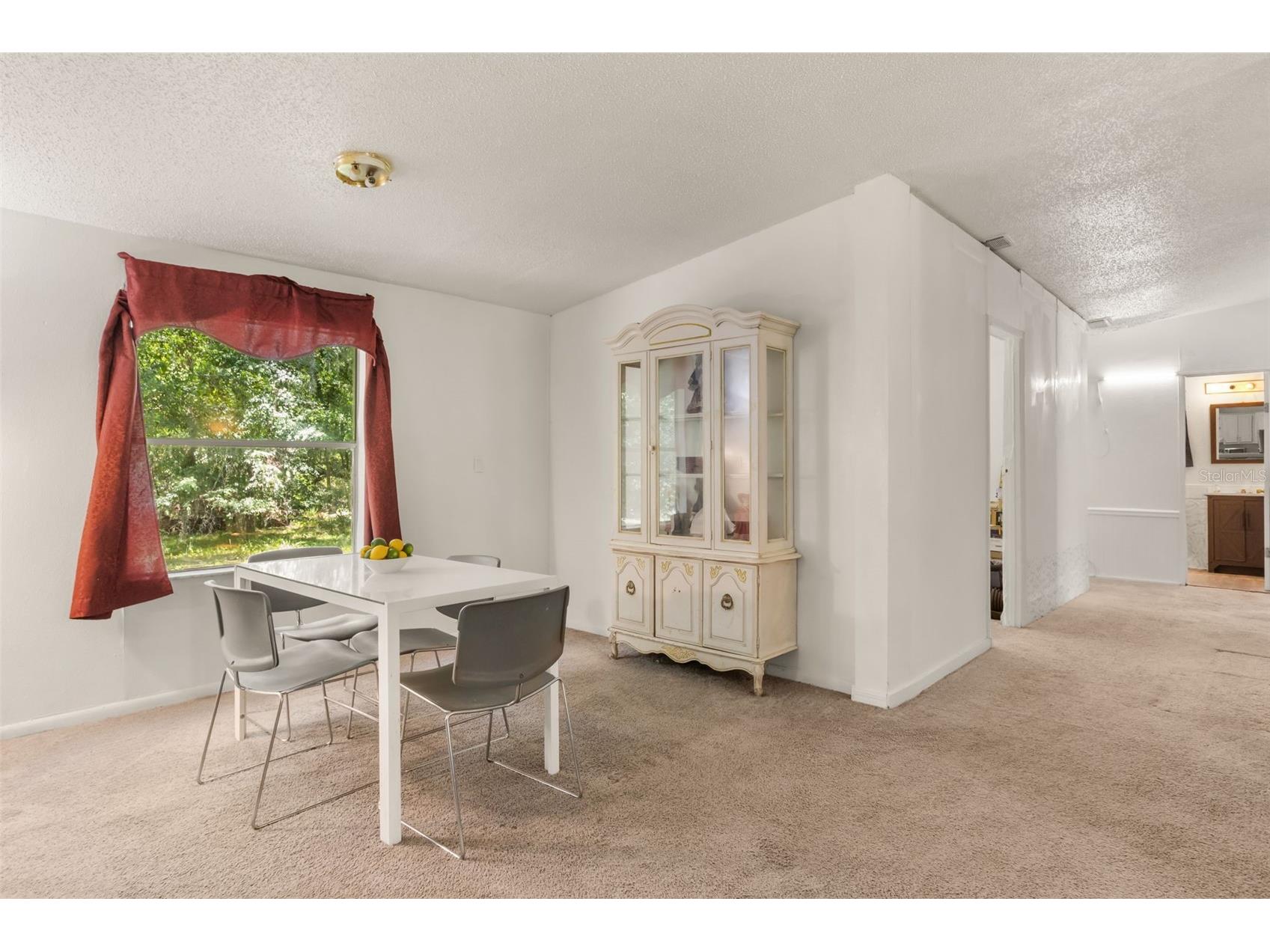 3002 SW 127th Avenue Webster FL 33597 - LITTLE WITCHOO RIVER O6417848 image5