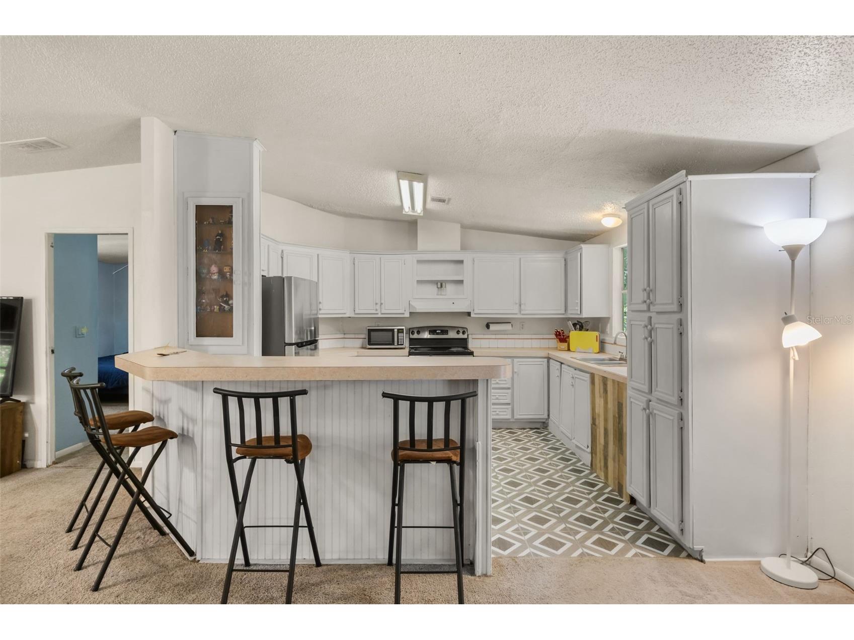 3002 SW 127th Avenue Webster FL 33597 - LITTLE WITCHOO RIVER O6417848 image6