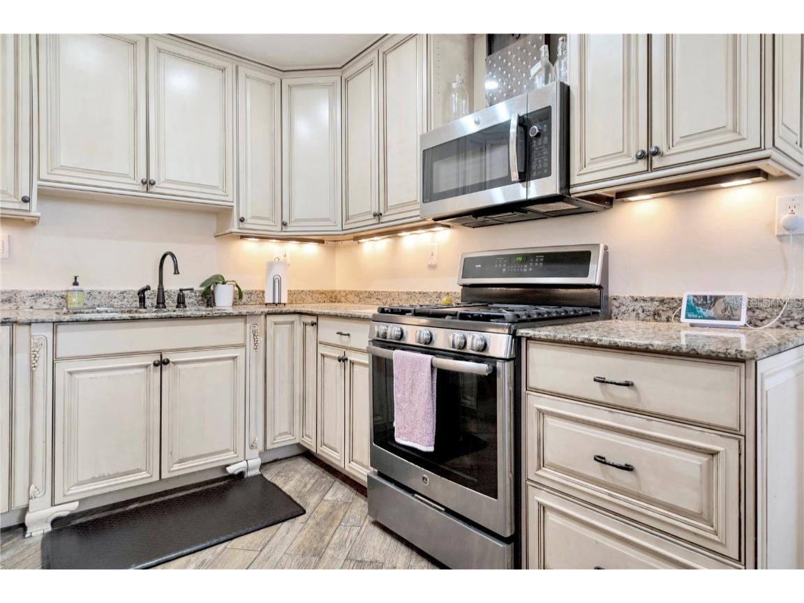 3002 W Alline Avenue Tampa FL 33611 TB8461914 image15