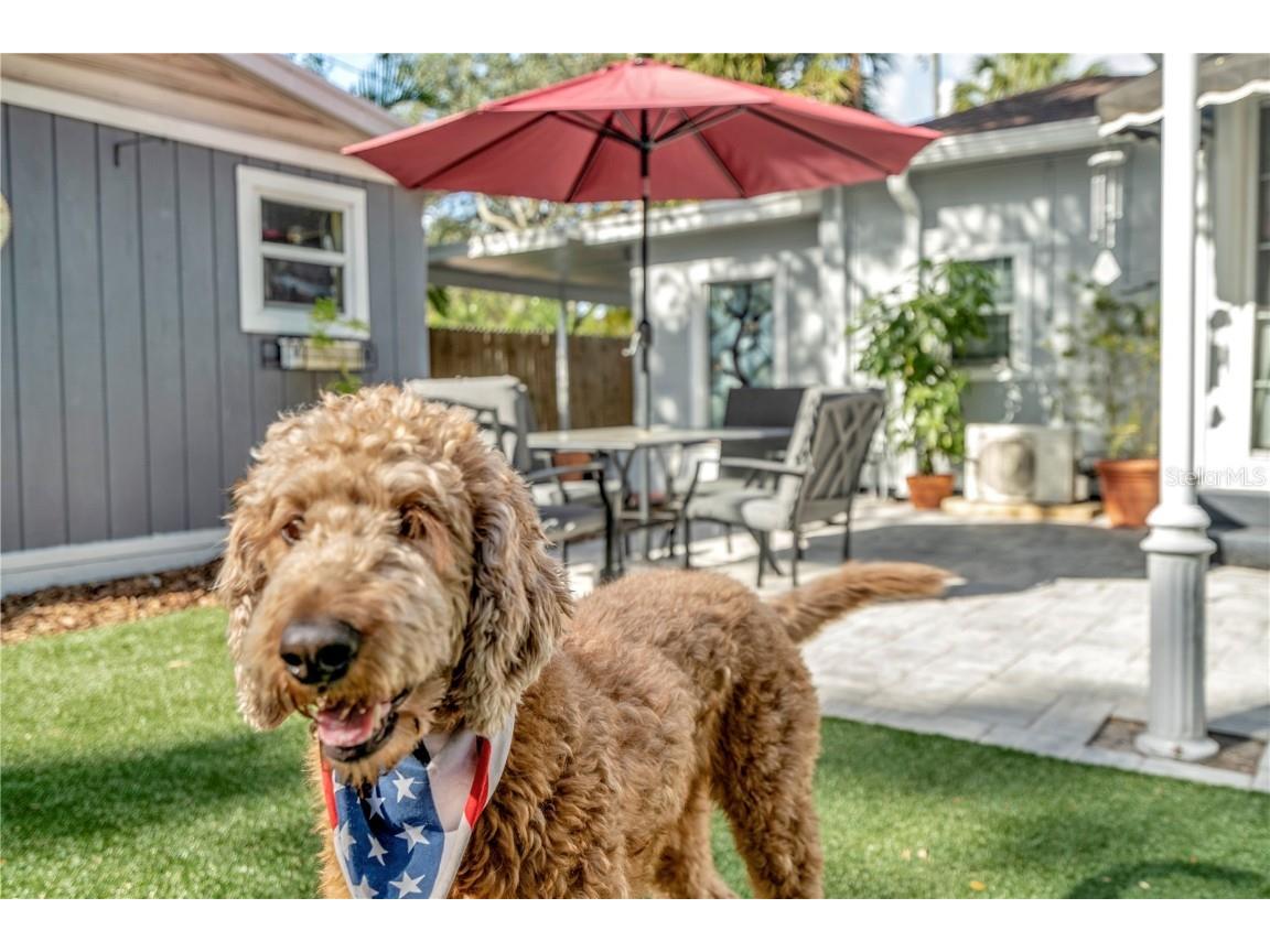 3002 W Alline Avenue Tampa FL 33611 TB8461914 image37