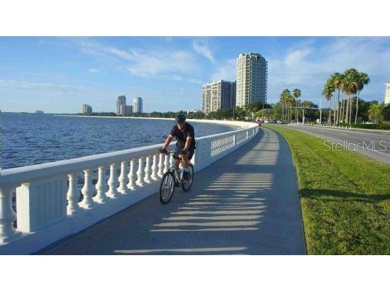 3002 W Alline Avenue Tampa FL 33611 TB8461914 image38